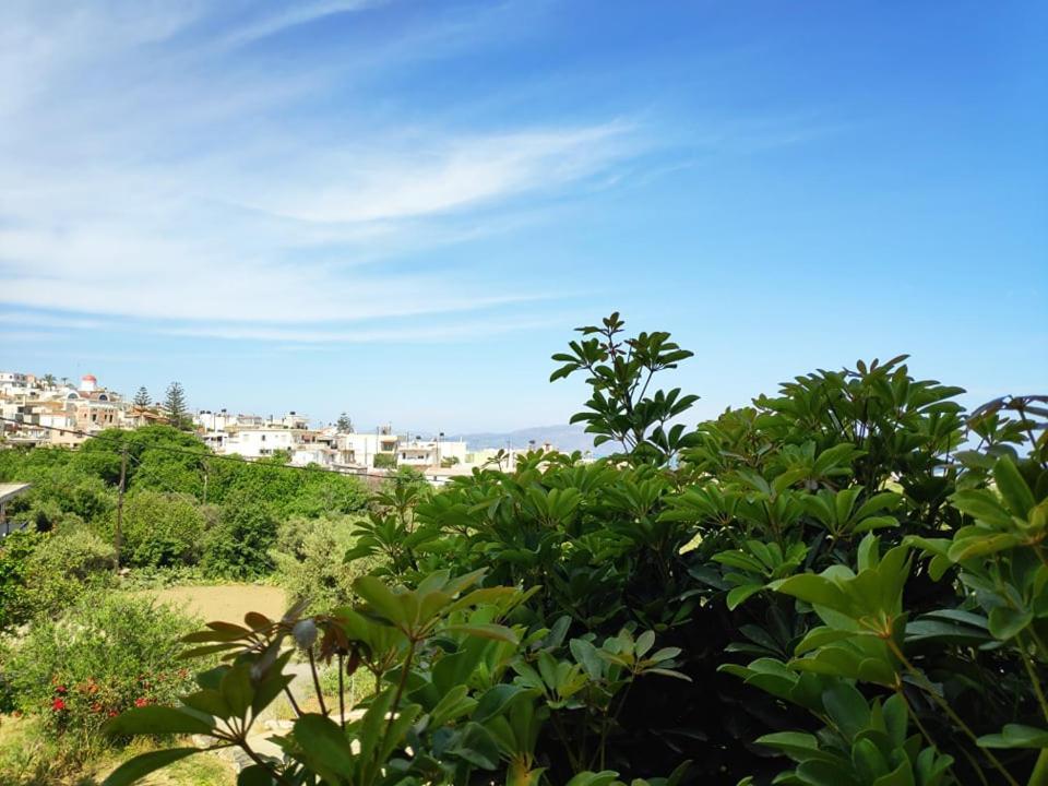 Xenia'S Countryside Guesthouse Agia Marina  ภายนอก รูปภาพ